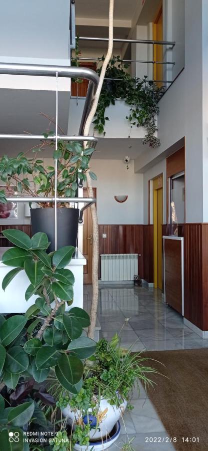 Hotel Narcea Valles  Extérieur photo